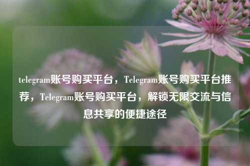 telegram账号购买平台	，Telegram账号购买平台推荐，Telegram账号购买平台，解锁无限交流与信息共享的便捷途径  第1张