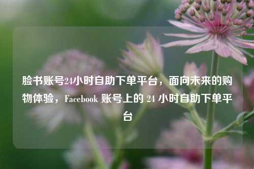 脸书账号24小时自助下单平台，面向未来的购物体验，Facebook 账号上的 24 小时自助下单平台