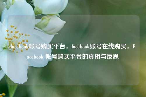 facebook帐号购买平台，facebook账号在线购买，Facebook 帐号购买平台的真相与反思