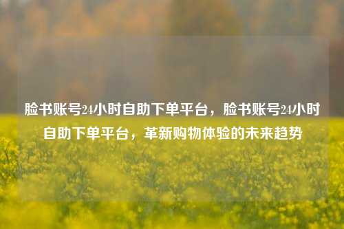 脸书账号24小时自助下单平台，脸书账号24小时自助下单平台，革新购物体验的未来趋势