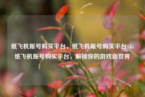 纸飞机账号购买平台，纸飞机账号购买平台15，纸飞机账号购买平台，解锁你的游戏新世界