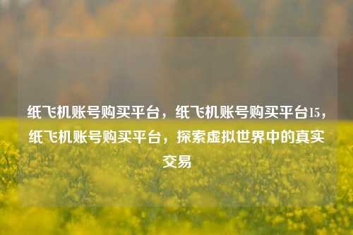 纸飞机账号购买平台，纸飞机账号购买平台15，纸飞机账号购买平台，探索虚拟世界中的真实交易