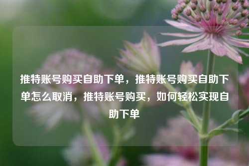 推特账号购买自助下单，推特账号购买自助下单怎么取消，推特账号购买，如何轻松实现自助下单
