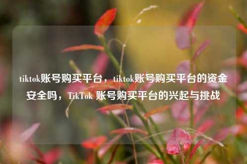 tiktok账号购买平台，tiktok账号购买平台的资金安全吗，TikTok 账号购买平台的兴起与挑战