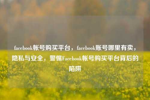 facebook帐号购买平台，facebook账号哪里有卖，隐私与安全，警惕Facebook帐号购买平台背后的陷阱