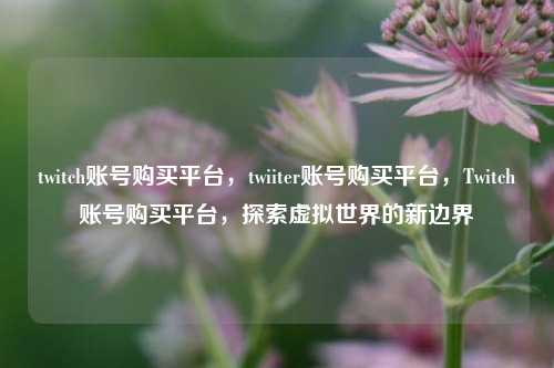twitch账号购买平台，twiiter账号购买平台，Twitch账号购买平台，探索虚拟世界的新边界