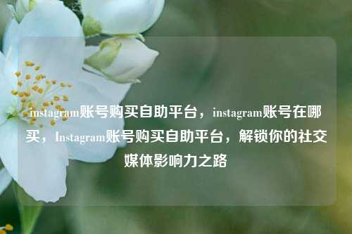 instagram账号购买自助平台，instagram账号在哪买，Instagram账号购买自助平台，解锁你的社交媒体影响力之路