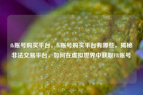 fb账号购买平台，fb账号购买平台有哪些，揭秘非法交易平台，如何在虚拟世界中获取FB账号
