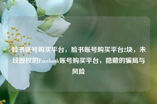 脸书账号购买平台，脸书账号购买平台2块，未经授权的Facebook账号购买平台，隐藏的骗局与风险