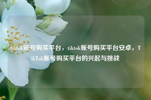 tiktok账号购买平台，tiktok账号购买平台安卓，TikTok账号购买平台的兴起与挑战
