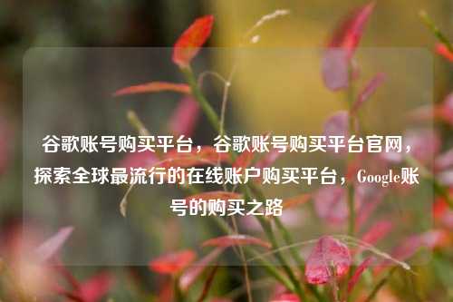 谷歌账号购买平台，谷歌账号购买平台官网，探索全球最流行的在线账户购买平台，Google账号的购买之路