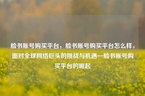 脸书账号购买平台，脸书账号购买平台怎么样，面对全球网络巨头的挑战与机遇—脸书账号购买平台的崛起