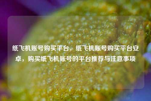 纸飞机账号购买平台，纸飞机账号购买平台安卓，购买纸飞机账号的平台推荐与注意事项
