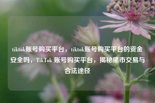tiktok账号购买平台，tiktok账号购买平台的资金安全吗，TikTok 账号购买平台，揭秘黑市交易与合法途径