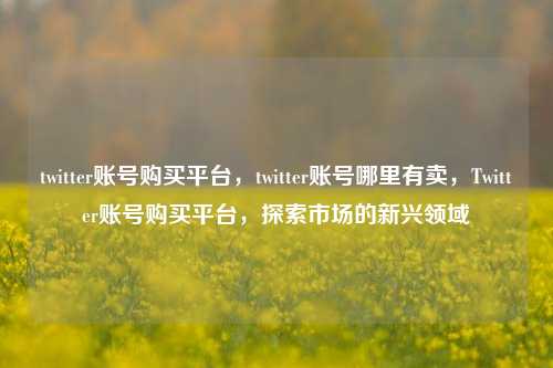 twitter账号购买平台，twitter账号哪里有卖，Twitter账号购买平台，探索市场的新兴领域