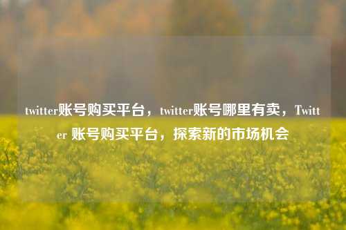 twitter账号购买平台，twitter账号哪里有卖，Twitter 账号购买平台，探索新的市场机会