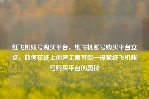纸飞机账号购买平台，纸飞机账号购买平台安卓，如何在纸上创造无限可能—探索纸飞机账号购买平台的奥秘