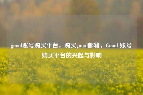 gmail账号购买平台，购买gmail邮箱，Gmail 账号购买平台的兴起与影响