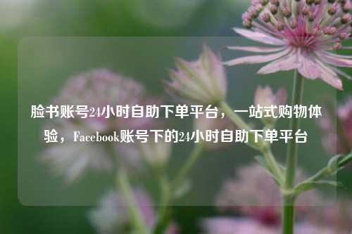 脸书账号24小时自助下单平台，一站式购物体验，Facebook账号下的24小时自助下单平台