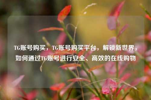 TG账号购买，TG账号购买平台，解锁新世界，如何通过TG账号进行安全、高效的在线购物