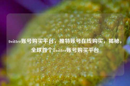 twitter账号购买平台，推特账号在线购买，揭秘，全球首个Twitter账号购买平台