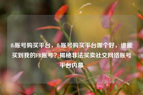 fb账号购买平台，fb账号购买平台哪个好，谁能买到我的FB账号？揭秘非法买卖社交网络账号平台内幕