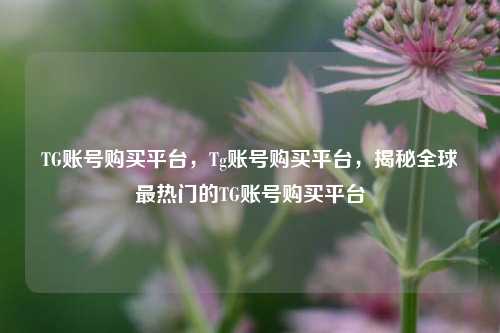 TG账号购买平台，Tg账号购买平台，揭秘全球最热门的TG账号购买平台