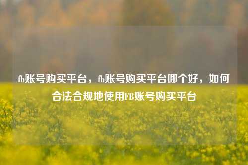fb账号购买平台，fb账号购买平台哪个好，如何合法合规地使用FB账号购买平台