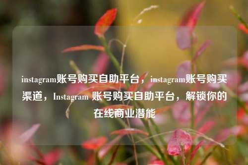 instagram账号购买自助平台，instagram账号购买渠道，Instagram 账号购买自助平台，解锁你的在线商业潜能
