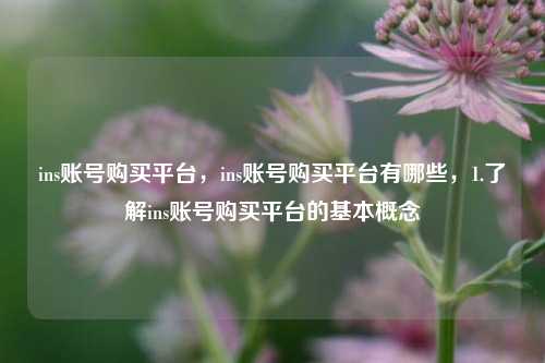 ins账号购买平台，ins账号购买平台有哪些，1.了解ins账号购买平台的基本概念