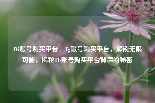 TG账号购买平台，Tg账号购买平台，解锁无限可能，揭秘TG账号购买平台背后的秘密