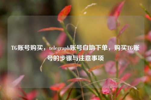 TG账号购买，telegraph账号自助下单，购买TG账号的步骤与注意事项