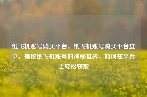 纸飞机账号购买平台，纸飞机账号购买平台安卓，揭秘纸飞机账号的神秘世界，如何在平台上轻松获取