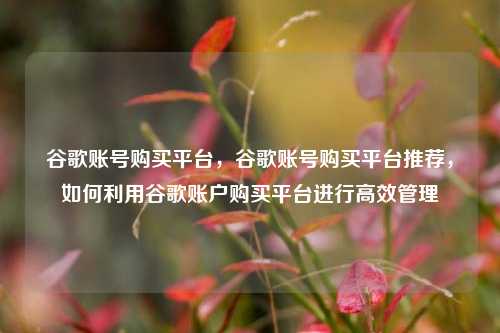 谷歌账号购买平台，谷歌账号购买平台推荐，如何利用谷歌账户购买平台进行高效管理