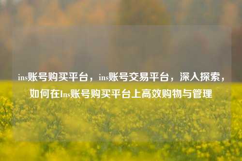 ins账号购买平台，ins账号交易平台，深入探索，如何在Ins账号购买平台上高效购物与管理