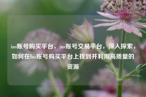 ins账号购买平台，ins账号交易平台，深入探索，如何在Ins账号购买平台上找到并利用高质量的资源