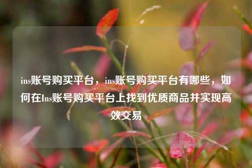 ins账号购买平台，ins账号购买平台有哪些，如何在Ins账号购买平台上找到优质商品并实现高效交易