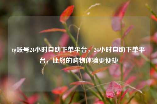 tg账号24小时自助下单平台，24小时自助下单平台	，让您的购物体验更便捷  第1张