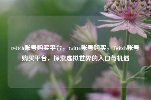 twitch账号购买平台，twitte账号购买，Twitch账号购买平台，探索虚拟世界的入口与机遇