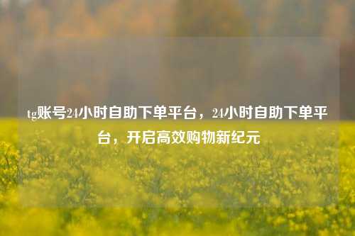 tg账号24小时自助下单平台，24小时自助下单平台，开启高效购物新纪元