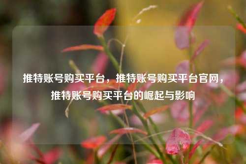 推特账号购买平台，推特账号购买平台官网，推特账号购买平台的崛起与影响