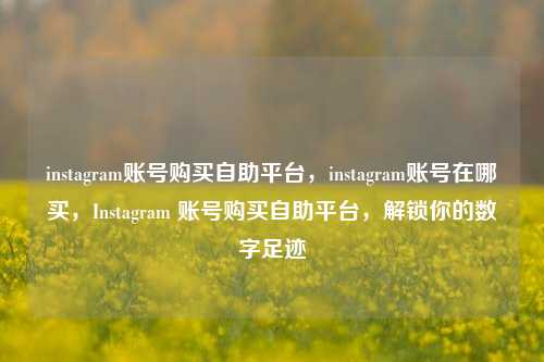 instagram账号购买自助平台，instagram账号在哪买，Instagram 账号购买自助平台，解锁你的数字足迹