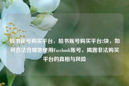 脸书账号购买平台，脸书账号购买平台2块，如何合法合规地使用Facebook账号，揭露非法购买平台的真相与风险