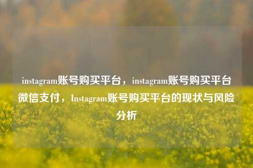 instagram账号购买平台，instagram账号购买平台微信支付，Instagram账号购买平台的现状与风险分析