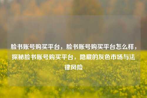 脸书账号购买平台，脸书账号购买平台怎么样，探秘脸书账号购买平台，隐藏的灰色市场与法律风险