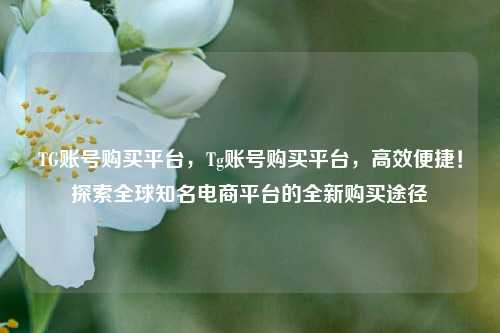 TG账号购买平台，Tg账号购买平台，高效便捷！探索全球知名电商平台的全新购买途径