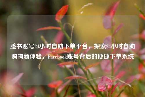 脸书账号24小时自助下单平台，探索24小时自助购物新体验，Facebook账号背后的便捷下单系统