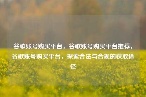 谷歌账号购买平台，谷歌账号购买平台推荐，谷歌账号购买平台，探索合法与合规的获取途径