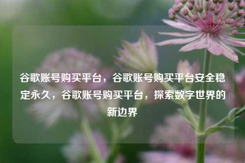 谷歌账号购买平台，谷歌账号购买平台安全稳定永久，谷歌账号购买平台，探索数字世界的新边界