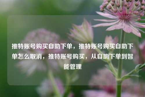 推特账号购买自助下单，推特账号购买自助下单怎么取消，推特账号购买，从自助下单到智能管理